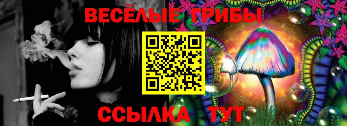 Галлюциногенные грибы Magic Shrooms  купить наркотик  Кыштым  Вход с VPN 